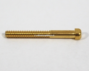 Anteprima